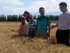 农业厅种业处汪新业处长来鲁丰公司视察