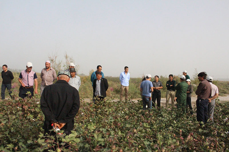 阿克苏分公司带人来公司观摩
