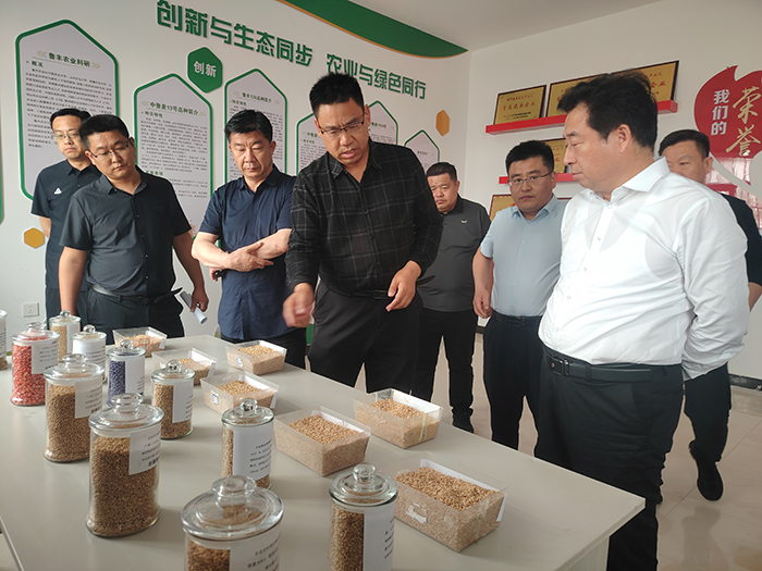 市考察团一行到菏泽财金集团菏农新疆鲁丰公司调研