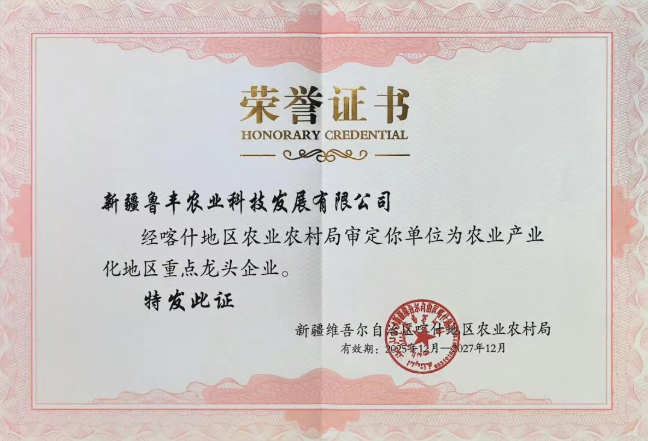 喜报频传！财金集团权属新疆鲁丰农业荣膺国家高新技术企业等荣誉，匠心深耕获认可